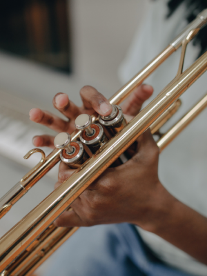 Instrumentos de Viento
